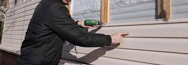 Best Siding Painting and Refinishing  in Trafalgar, IN